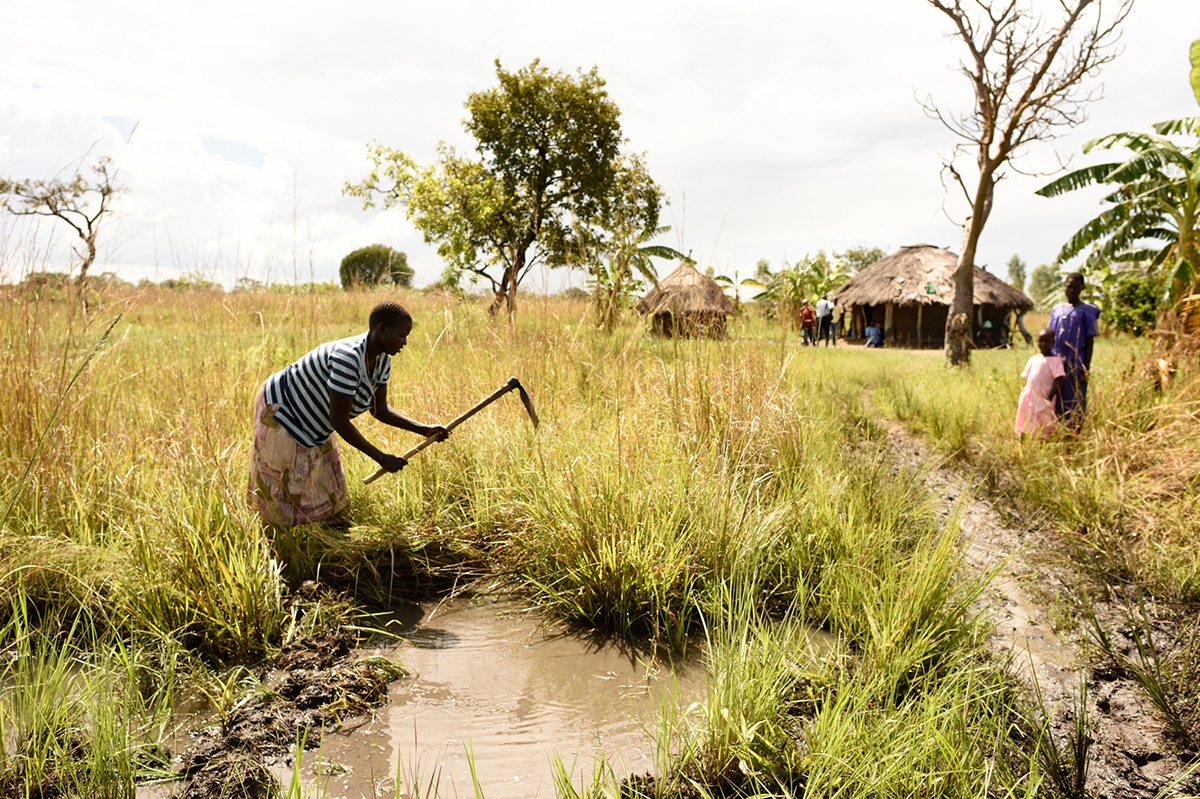 woman works field after flooding