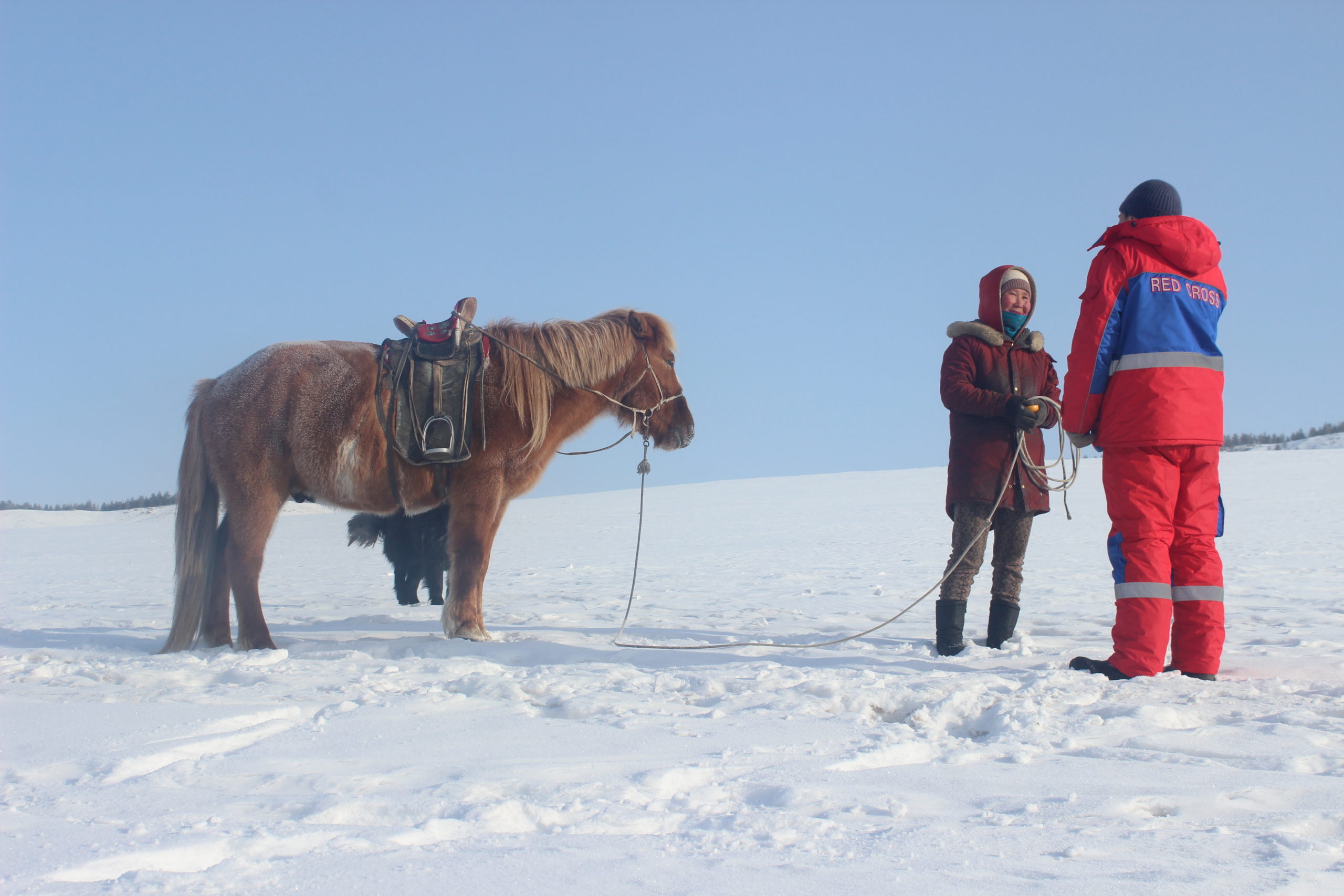 The Monolian Red Cross Society staff is conducting dzud assessments in the field. Copyright by IFRC