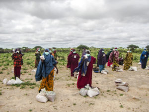 Farmers queue at a registration point to receive assistance during the cropping season.